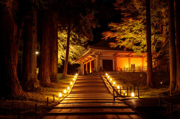 【夢占い】神社の夢は吉夢？暗示を行動別に解説！参拝など