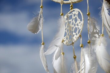 見たい夢を見る方法！見たい夢を確実に毎日見る方法とは？