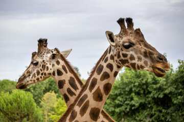 動物園デートを楽しむコツ！服装・コーデや持ち物は？【必見】