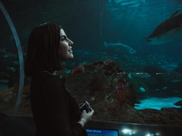 【夢占い】水族館の夢の17の意味！癒されたい証拠？