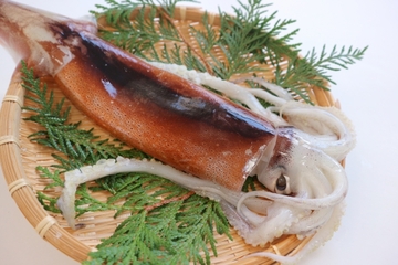 【夢占い】イカの夢の意味や心理を解説！状況によって変わる深層心理♪