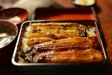 【夢占い】うなぎの夢の10の意味！幸福が訪れるメッセージかも♡