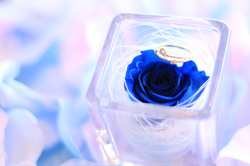 佐藤仁美の歴代彼氏は超大物のあの人！？結婚までの絶対条件も紹介♡