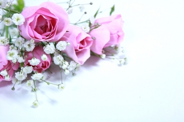 はいだしょうこの結婚相手は医者の一般人？今井ゆうぞう？真相解明！