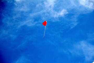 さとう珠緒が結婚？相手は森一弥？二人の馴れ初めや今後を知りたい！