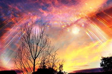 2月14日の誕生石・誕生花・星座・運勢・相性は？【365日誕生日占い】