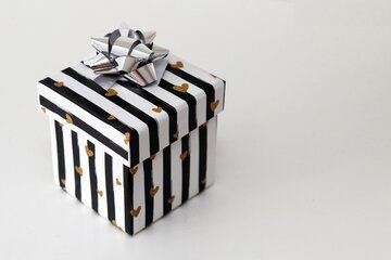  2月19日の誕生石・誕生花・星座・運勢・相性は？【365日誕生日占い】