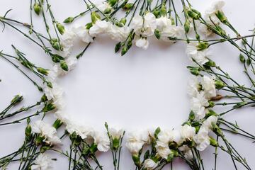 死を意味する花の花言葉25種類をご紹介|贈るときには要注意！	
