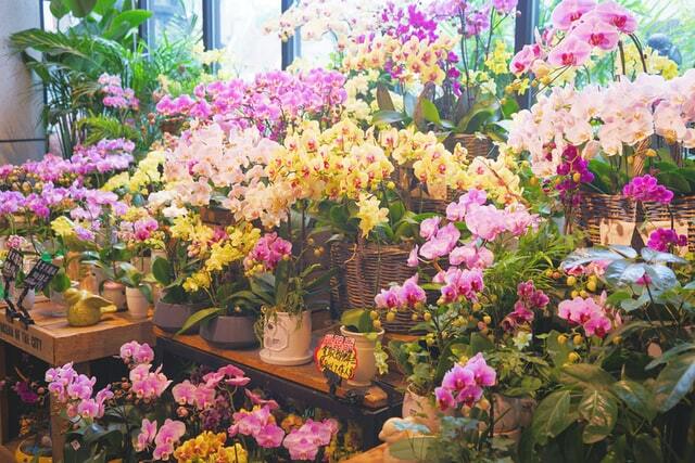 仙台のおしゃれな花屋ランキング21選 深夜営業しているお店も Lovely