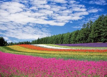 貴方が見るのは色付きカラーの夢？モノクロの夢？原因や意味を解説！	