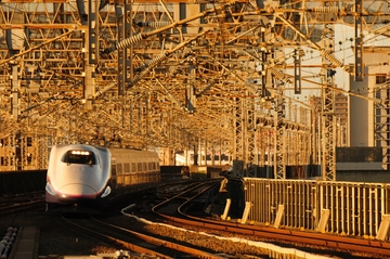 【初・新幹線が半額に！】JR東日本「お先にトクだ値スペシャル」とは？キャンセル可？