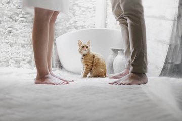 【彼氏と喧嘩】上手に仲直りする方法は？二人の仲を深めるテクニックも解説！