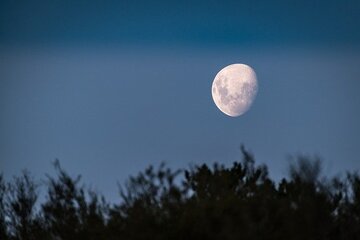 「月が綺麗ですね」に秘められた意味とは？上手な返し方や類似な言葉も紹介	
