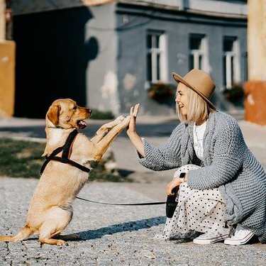 犬系女子がモテる理由は 彼女にしたいかわいい女子の特徴や行動とは Lovely