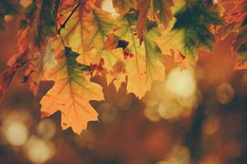 夏から秋に起こる体の不調 「秋バテ」に要注意！自律神経を整える方法をご紹介